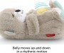 Fisher Price Soothe n Snuggle Otter & Sip Gift Set